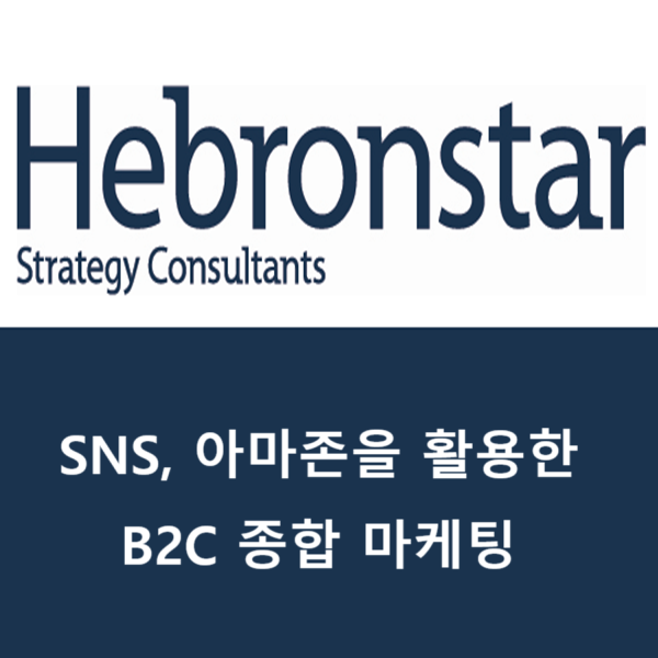 SNS, 아마존을 활용한 B2C 종합 마케팅 이미지