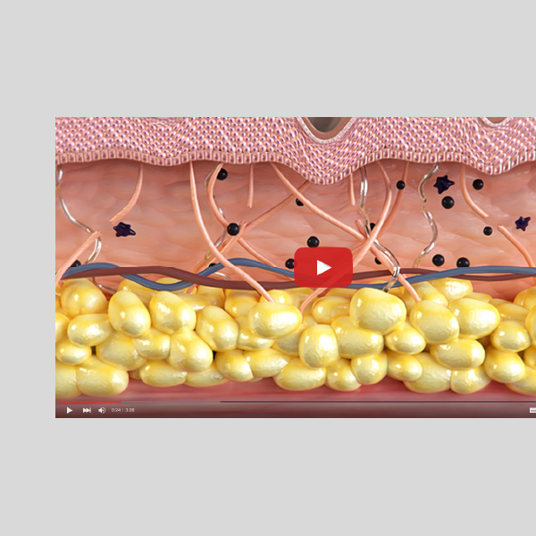 홍보영상 제작 [촬영,2D,3D] 이미지