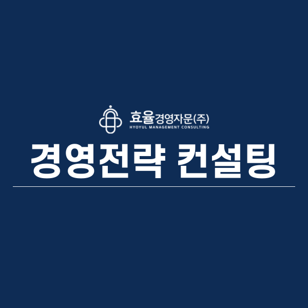 효율경영자문(주)