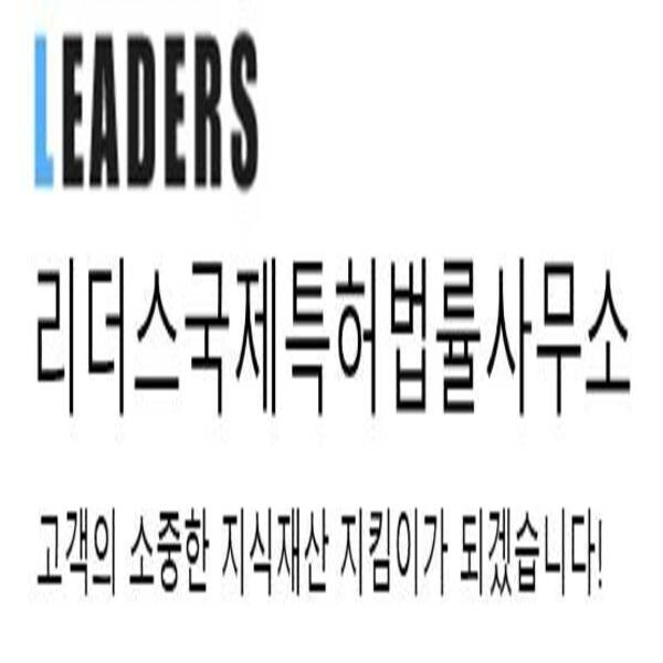 특허맵 전략 보고서 