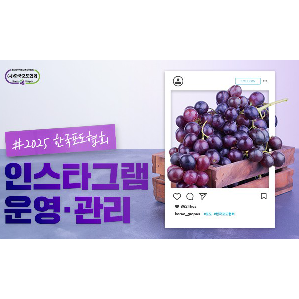 SNS 운영 마케팅 이미지