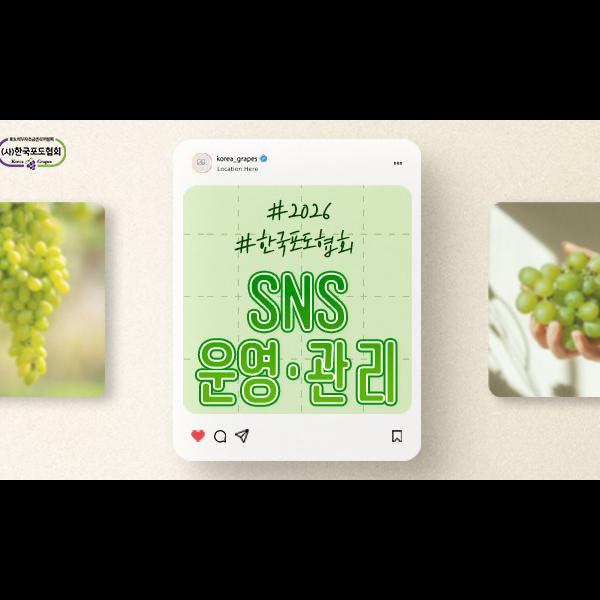 홈페이지 제작 및 마케팅 이미지